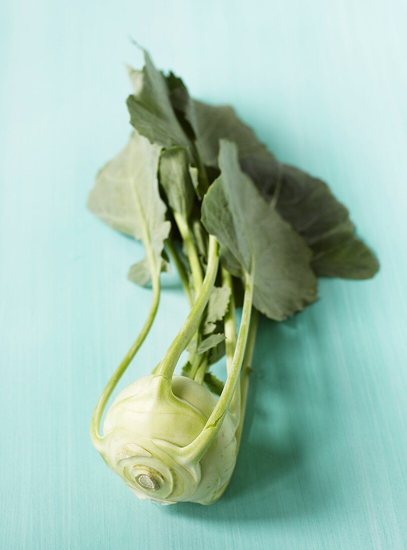 Kohlrabi on turquoise background