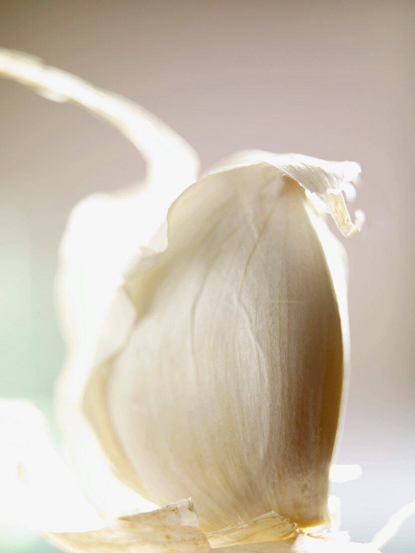 A clove of garlic with skin (close-up)