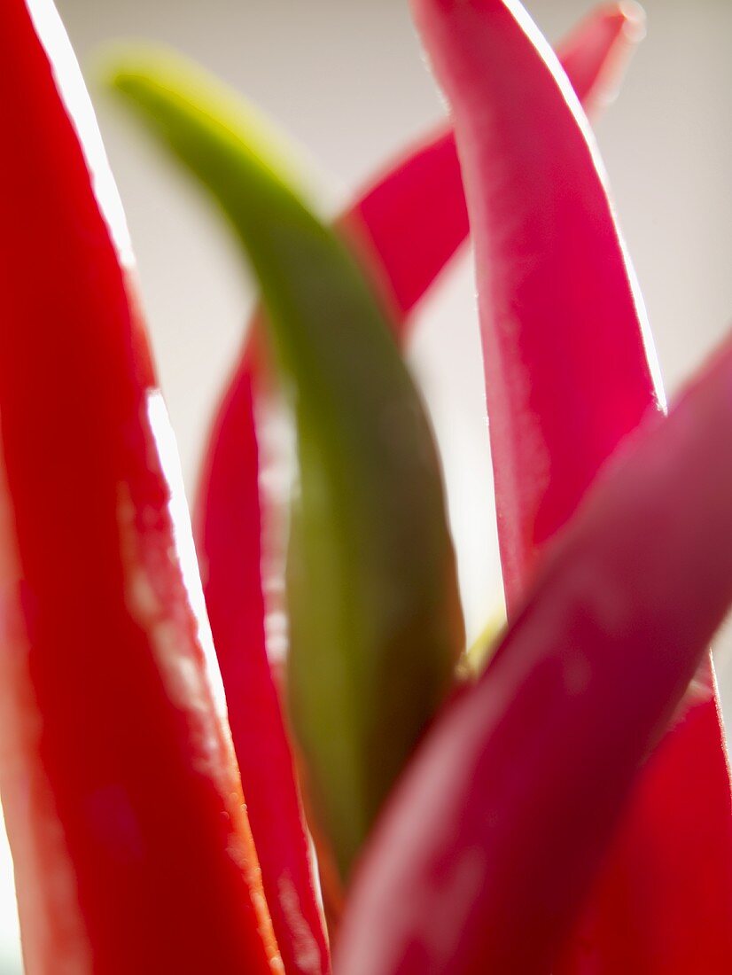 Green and red chillies (close-up)
