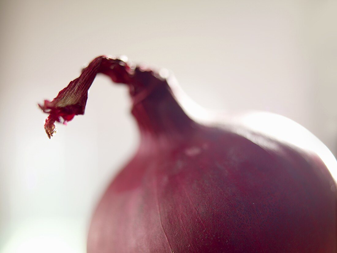 Red onion (close-up)