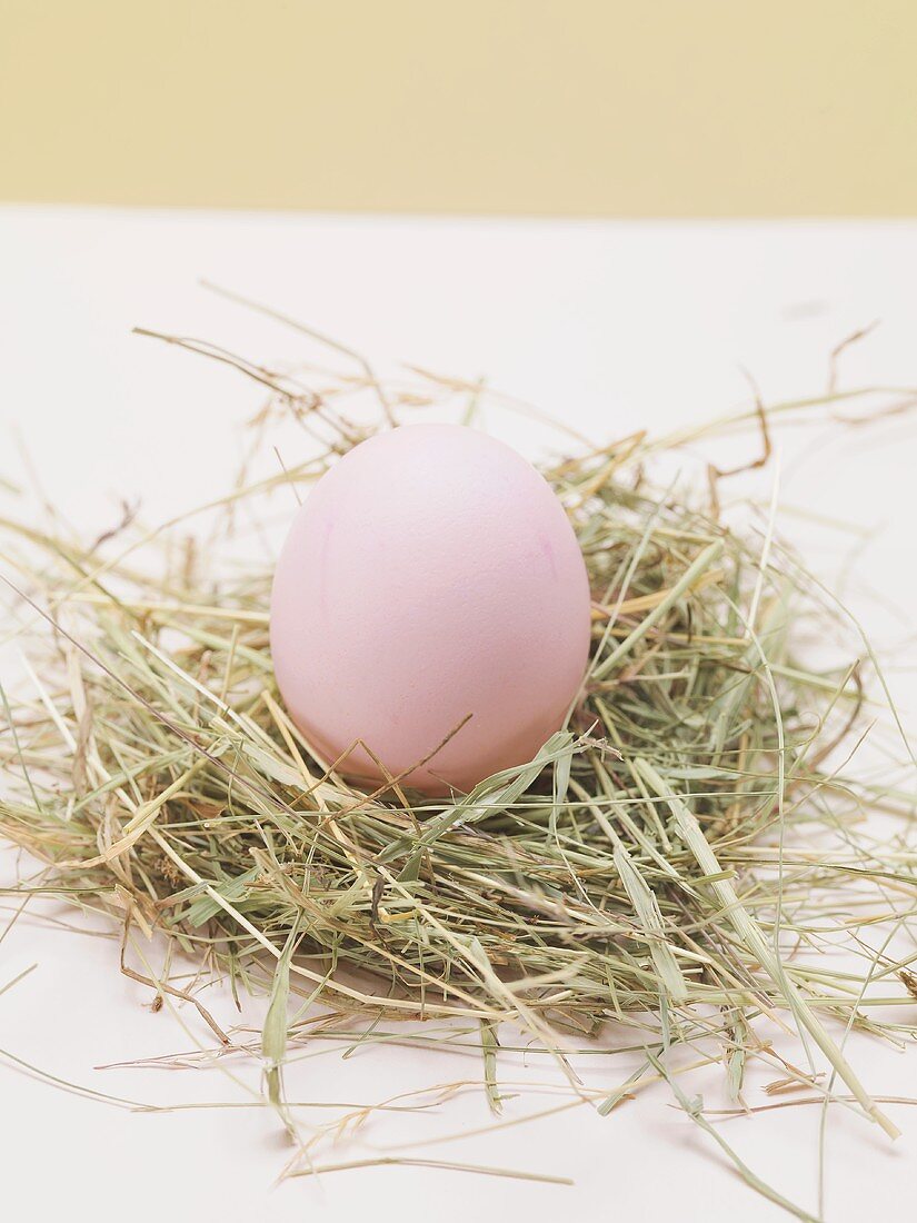 Pink Easter egg in Easter nest