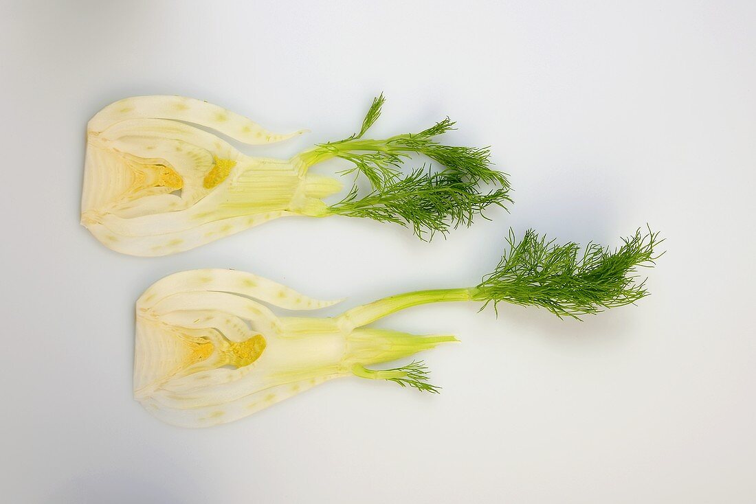 Two slices of fennel with leaves