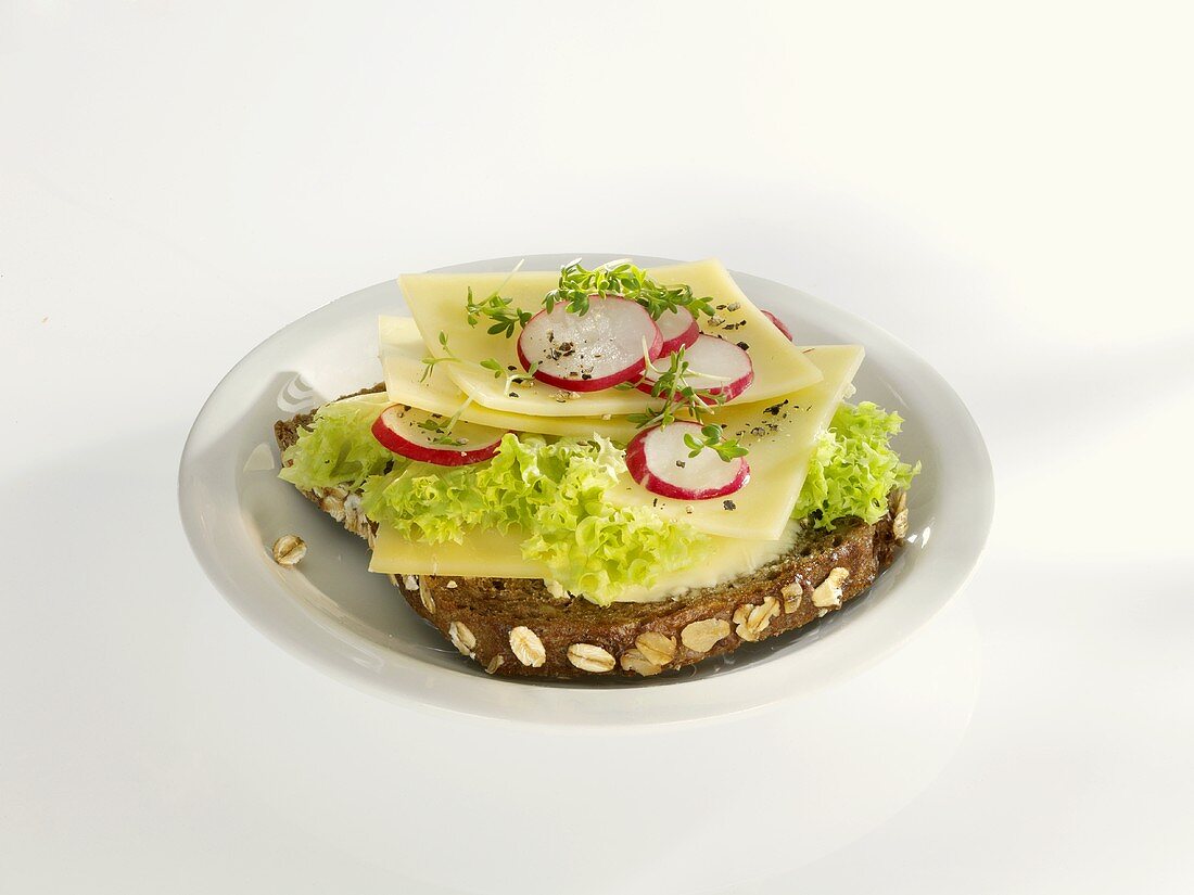 Cheese, lettuce and radishes on bread