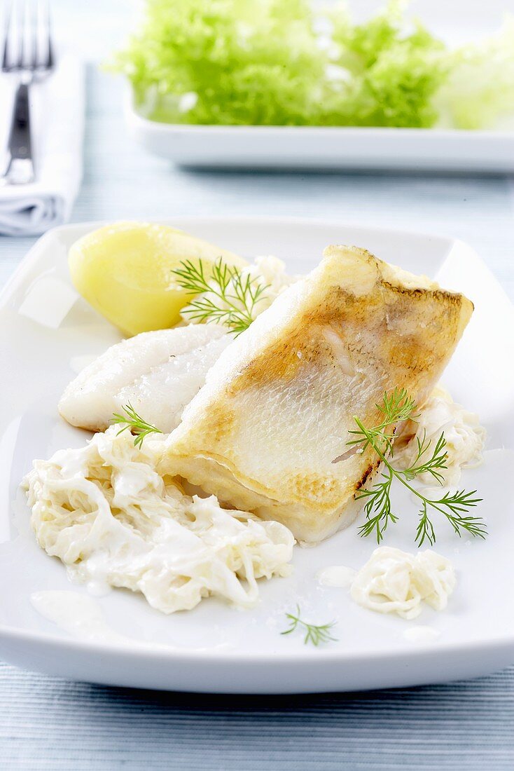 Fried zander fillet on sauerkraut with Riesling