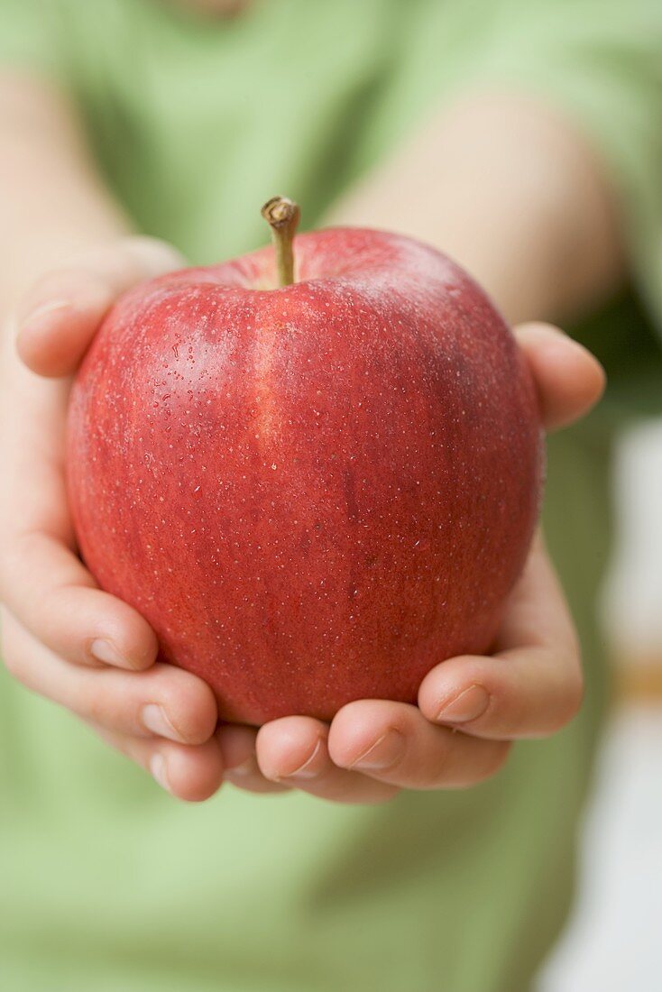 Kind hält Gala Royal Apfel