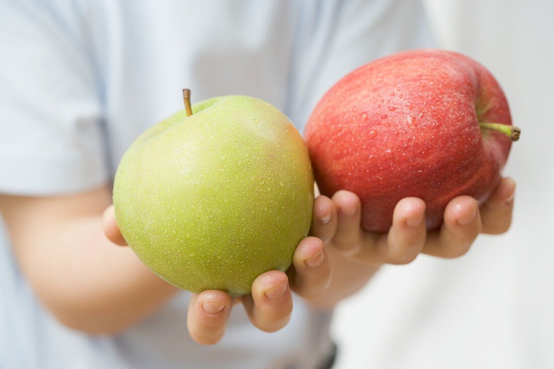 Child holding two apples