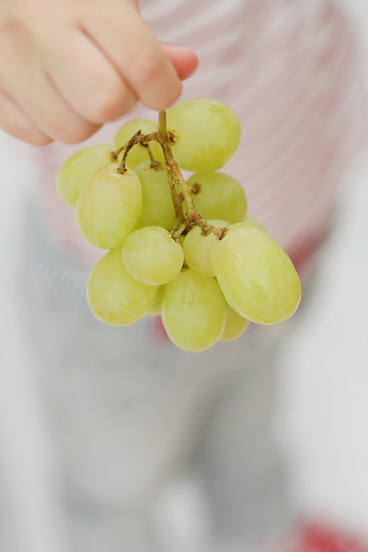 Child holding green grapes