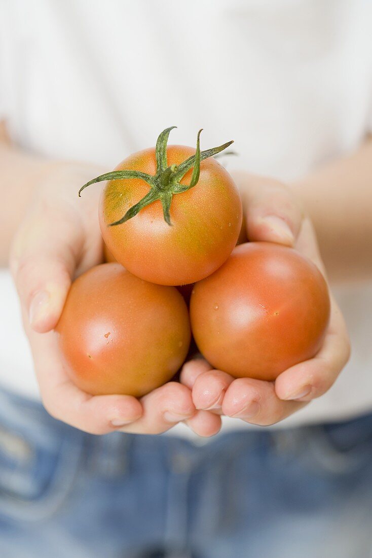 Child holding fresh tomatoes