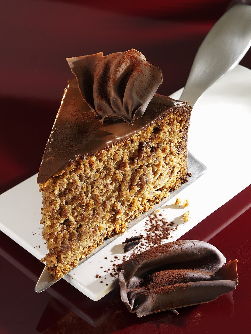 Piece of chocolate nut cake on cake server