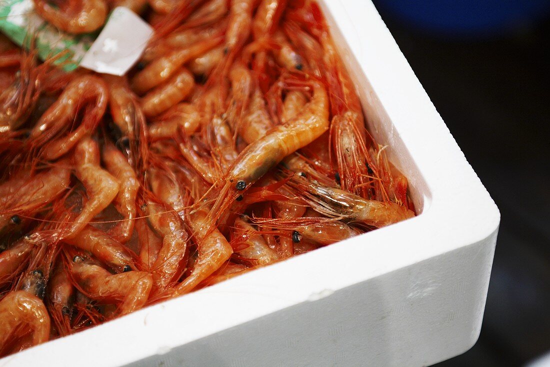 Fresh prawns in polystyrene box