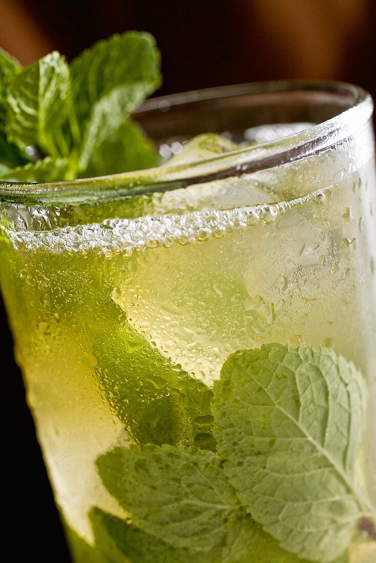 Mojito (Close Up)