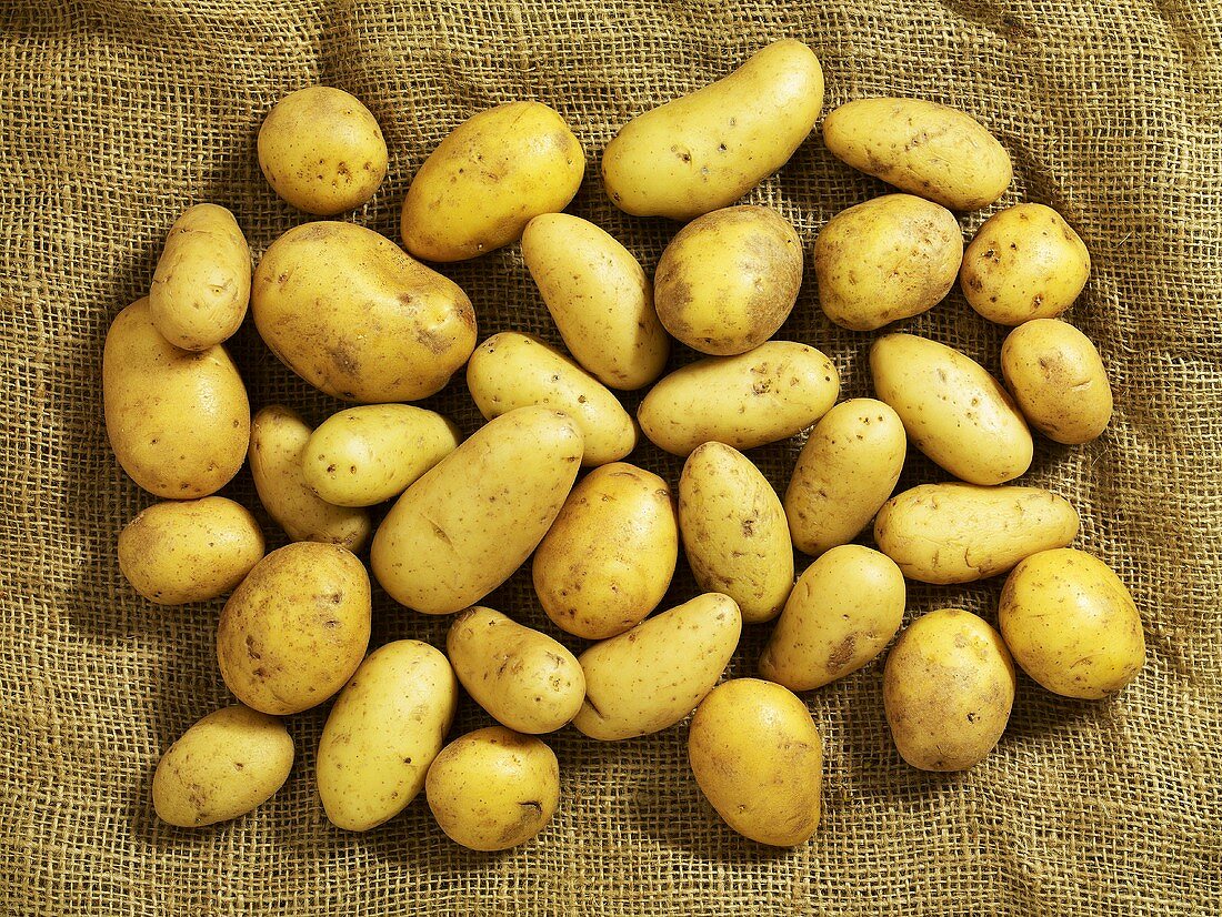Potatoes on jute (overhead view)
