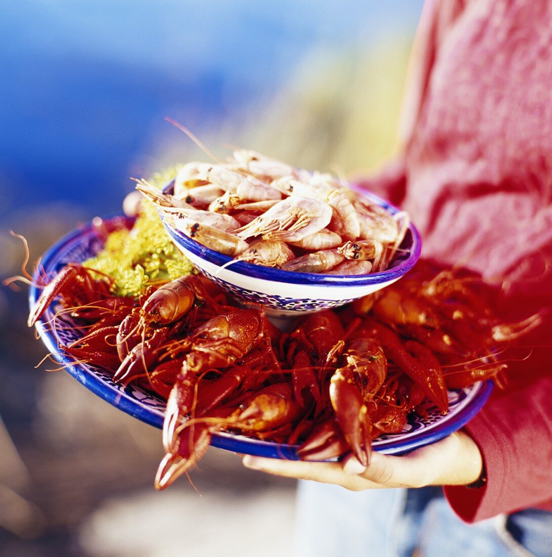 Person serving crayfish and prawns