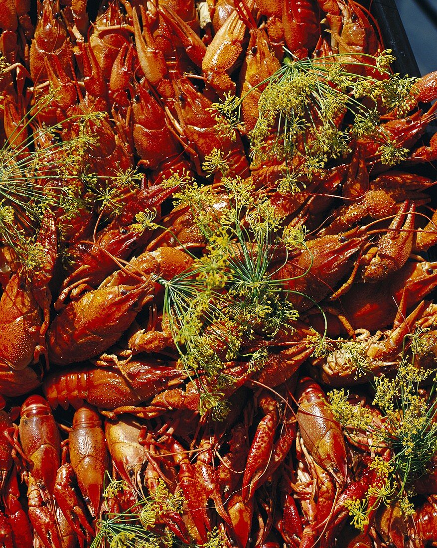 Crayfish on a market stall