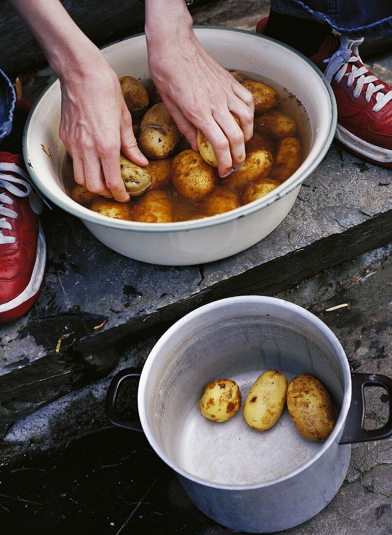 Hands washing potatoes in a bowl