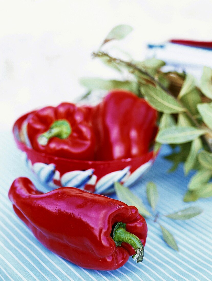 Red peppers and bay leaves