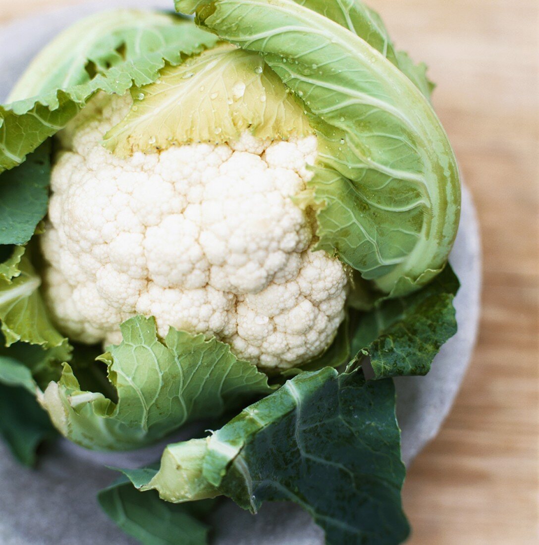 Blumenkohl mit Wassertropfen