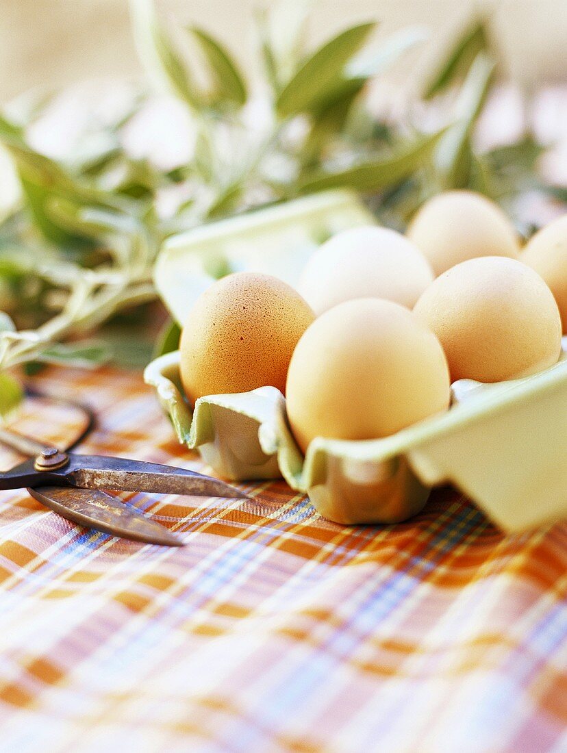 Eier im Eierkarton, Salbei im Hintergrund auf kariertem Tuch