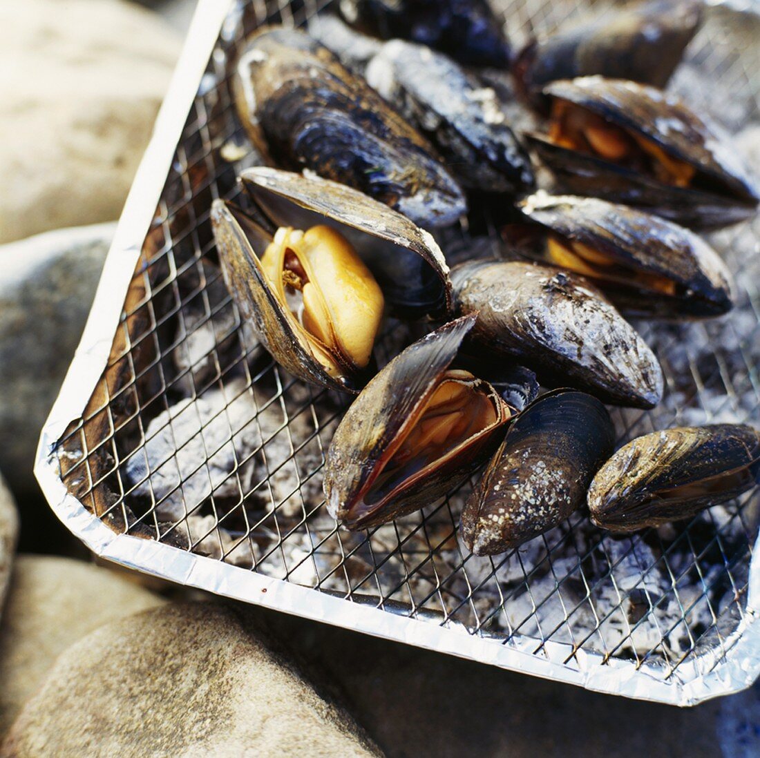 Grilled mussels on disposable barbecue