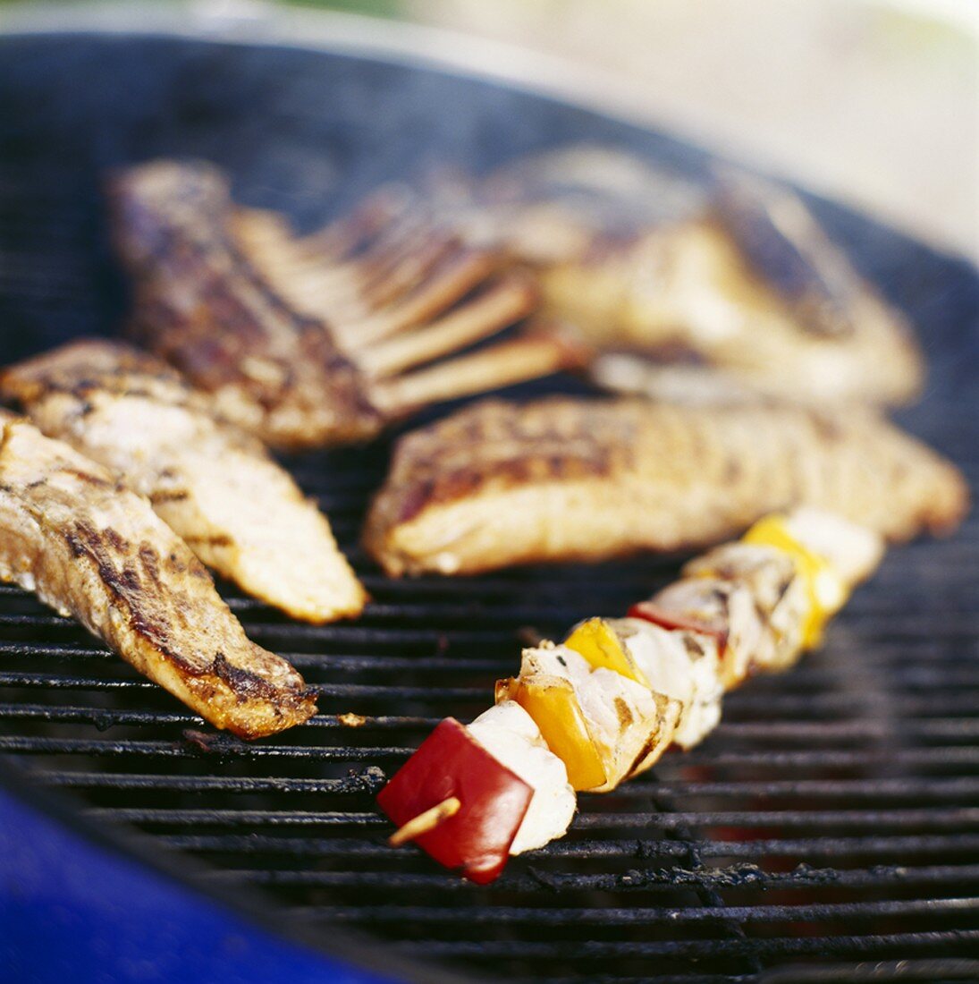 Spiesse, Spareribs und Lachs auf dem Grill