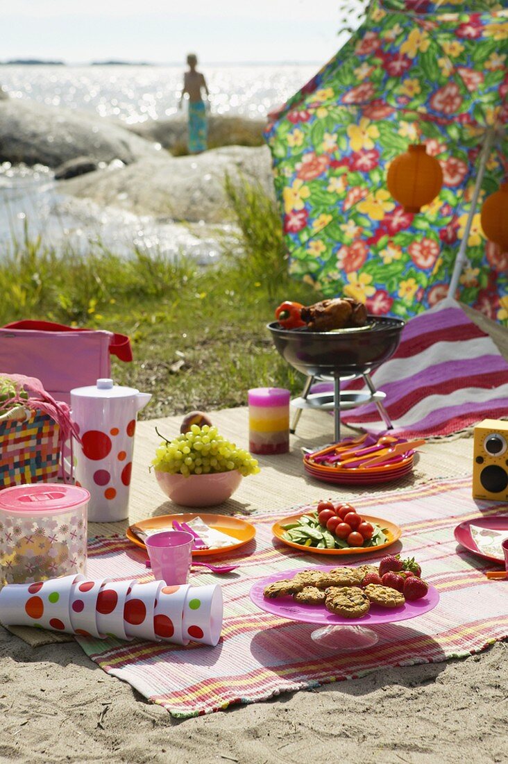 Sommerliches Picknick am Meer