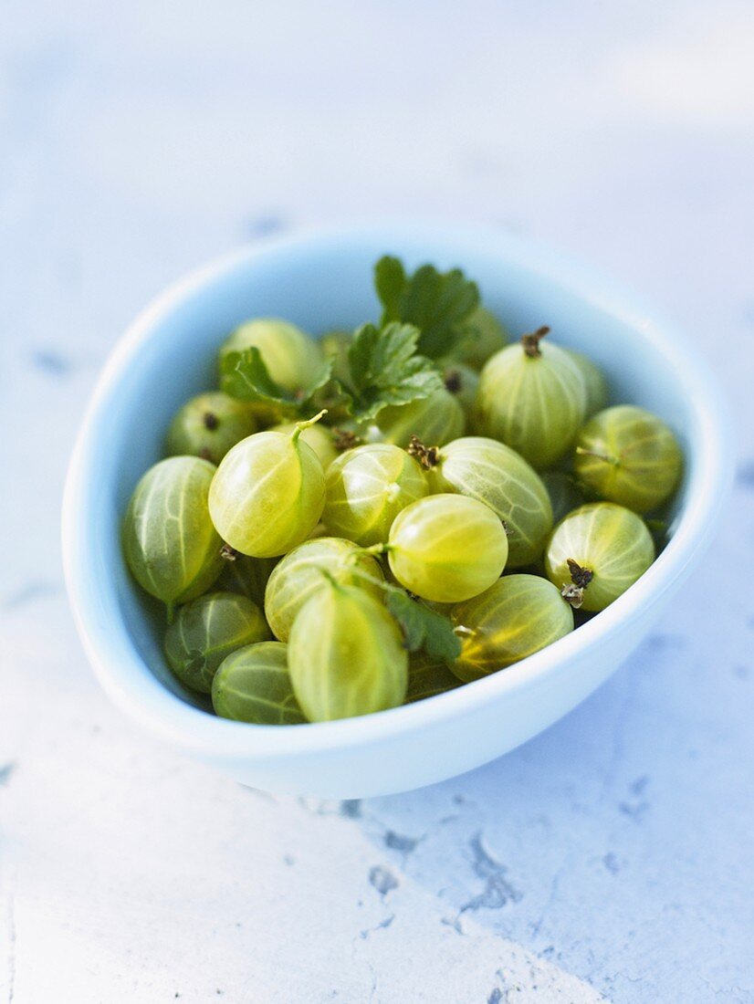 Gooseberries in small dish