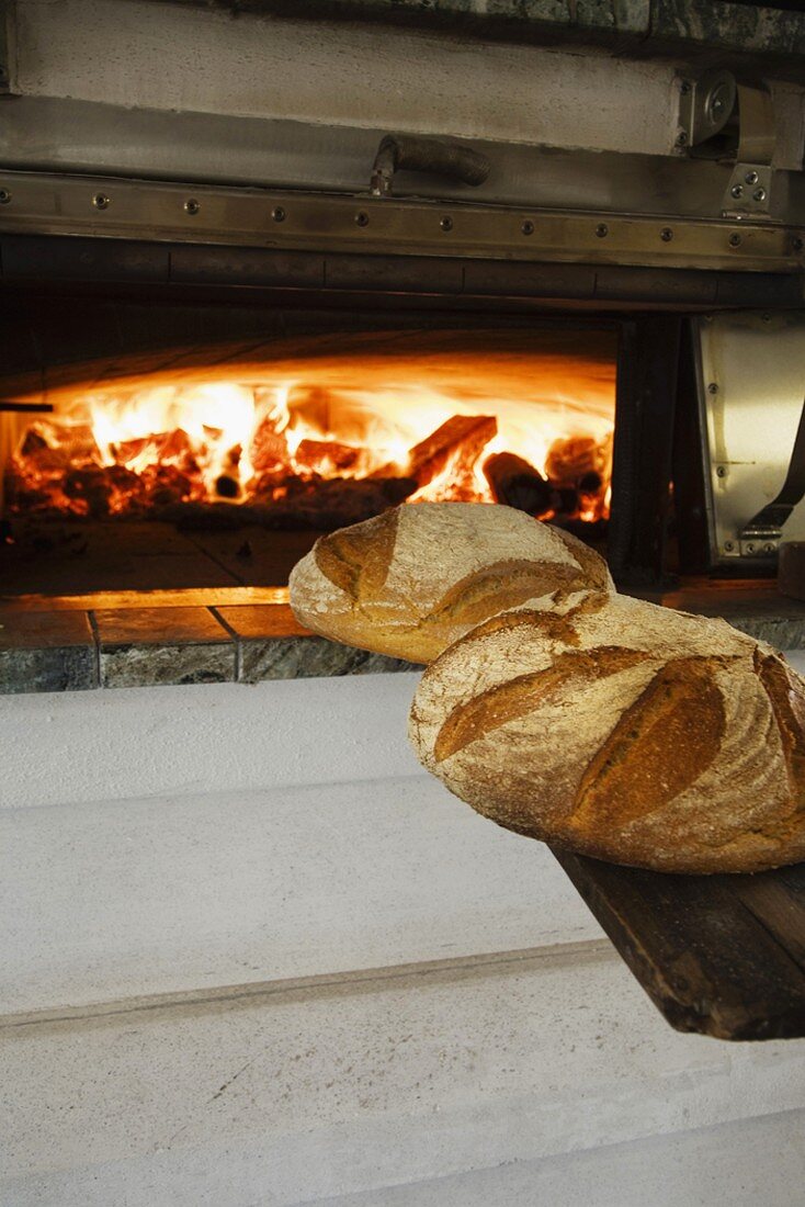 Freshly baked bread out of a wood fired oven