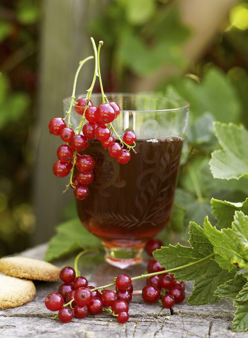 Red currant syrup in a glass