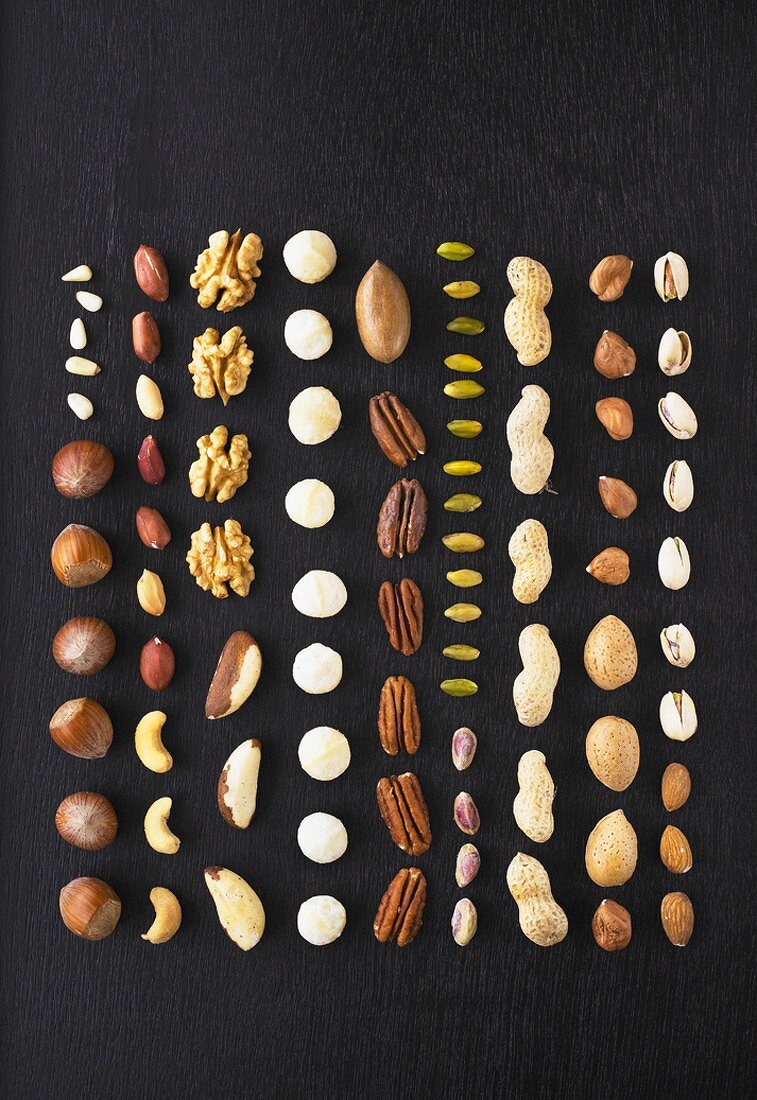 Assorted nuts and seeds in rows