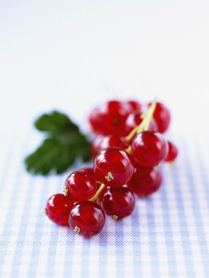 Redcurrants on checked fabric