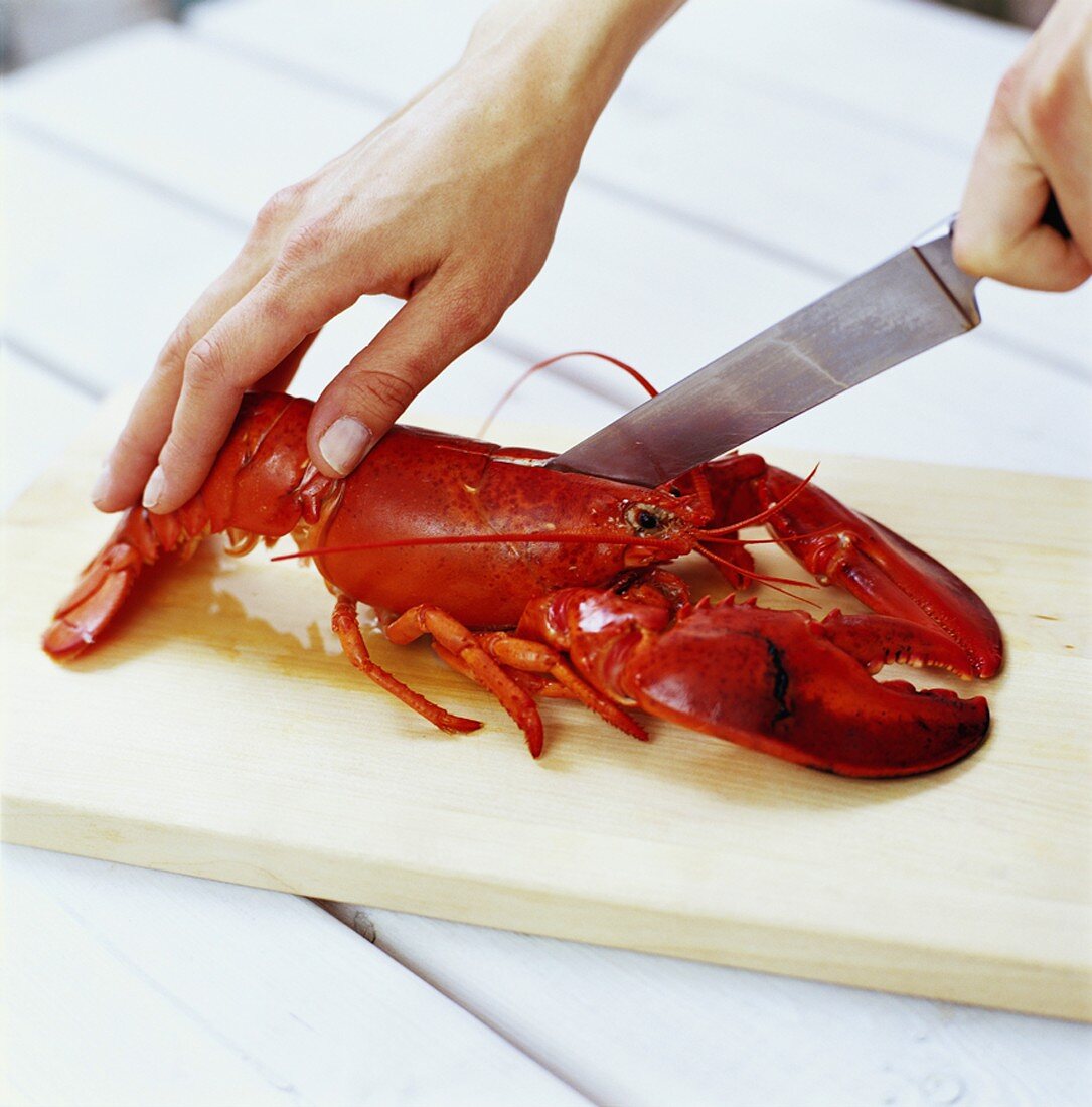 Hand cutting up a cooked lobster with a knife