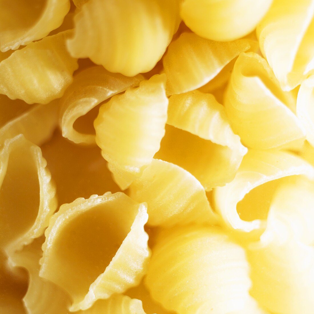 Conchiglie (pasta shells)