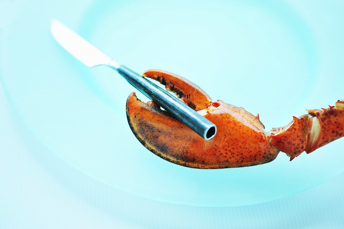 Lobster claw holding a knife