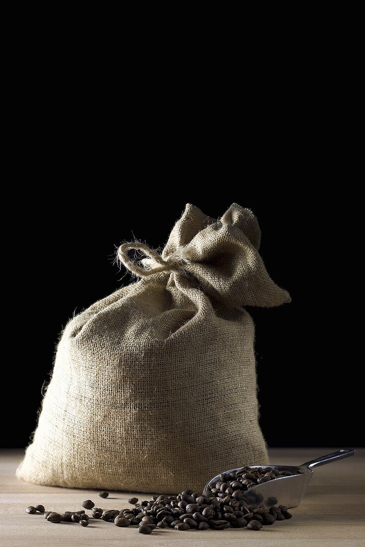 Sack of coffee beans with coffee beans in scoop