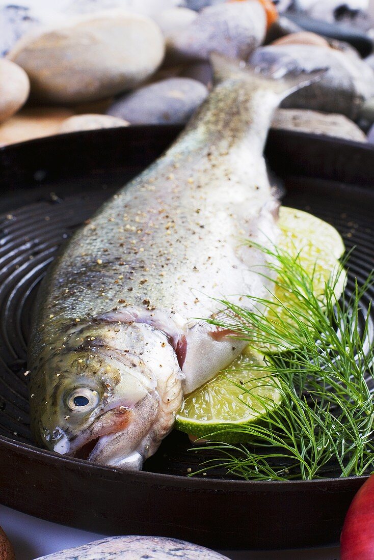 Trout with lime in a grill frying pan