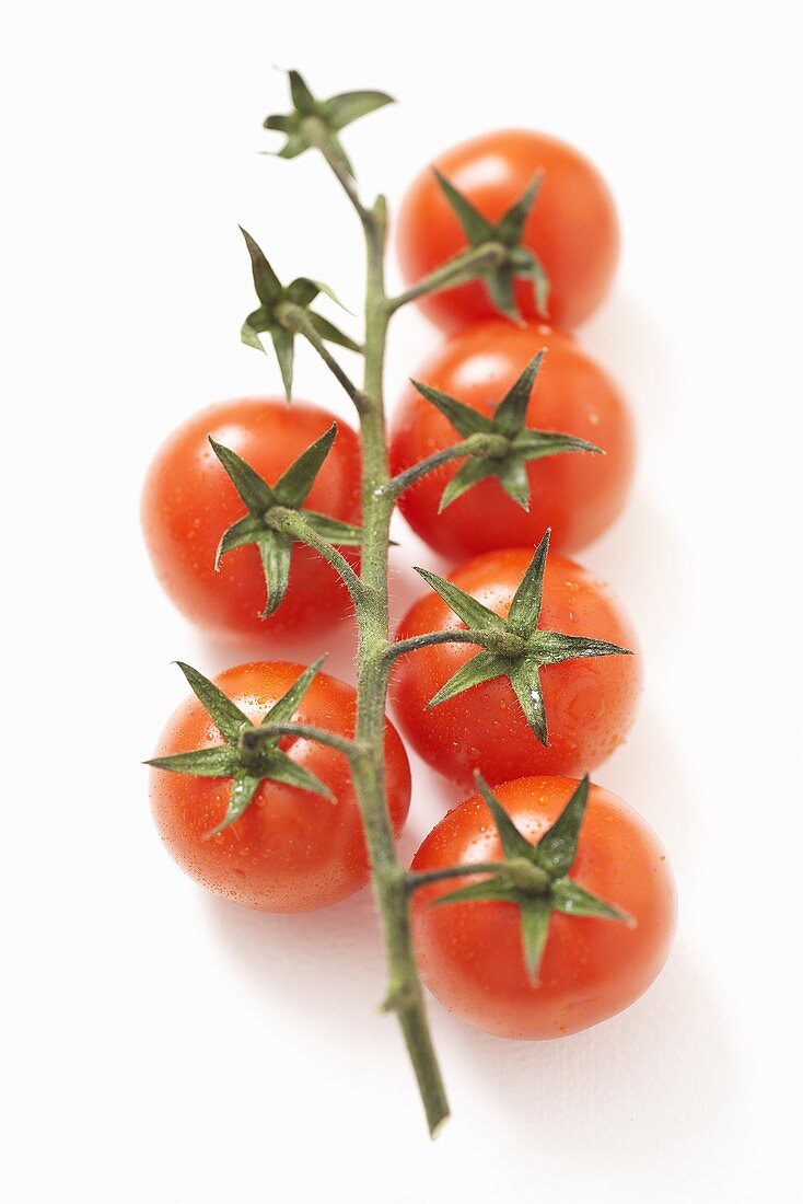 Fresh tomatoes on the vine