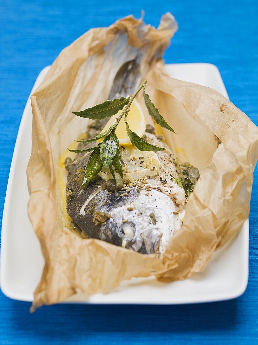 Gilthead sea bream in baking parchment