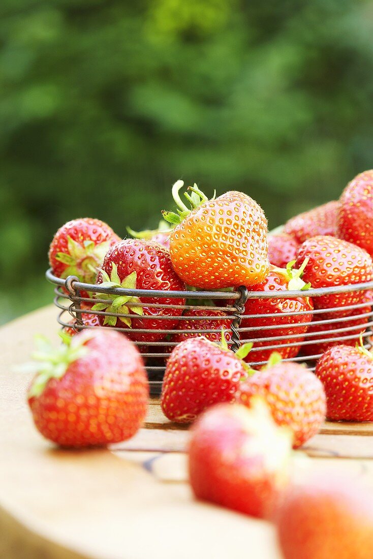 Frische Erdbeeren im Drahtkorb auf Holztisch