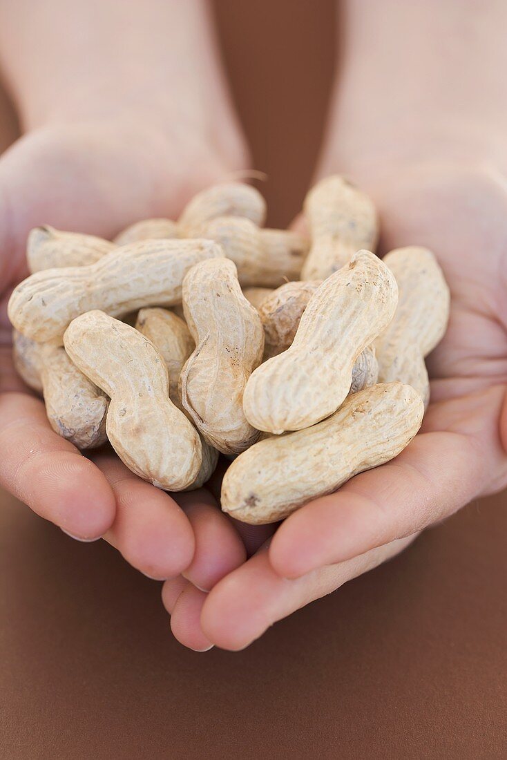 Hands holding peanuts