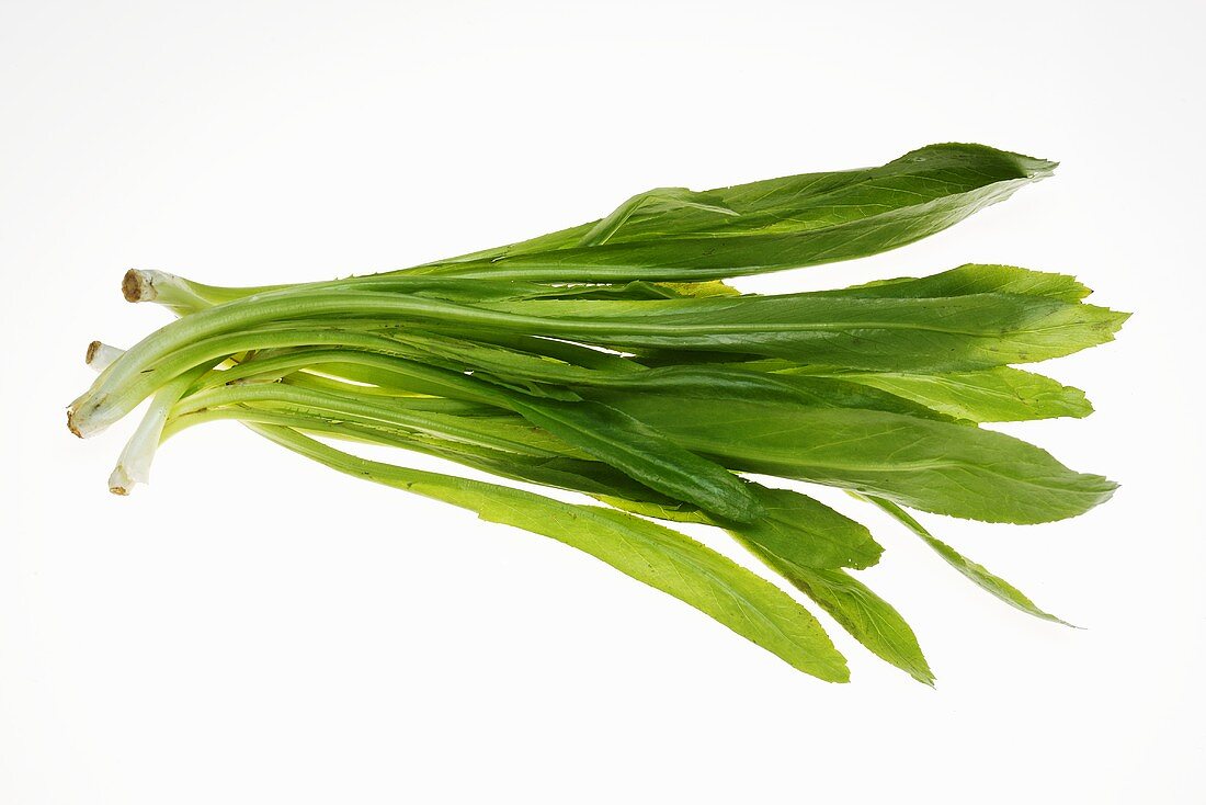 Culantro (Thai parsley)