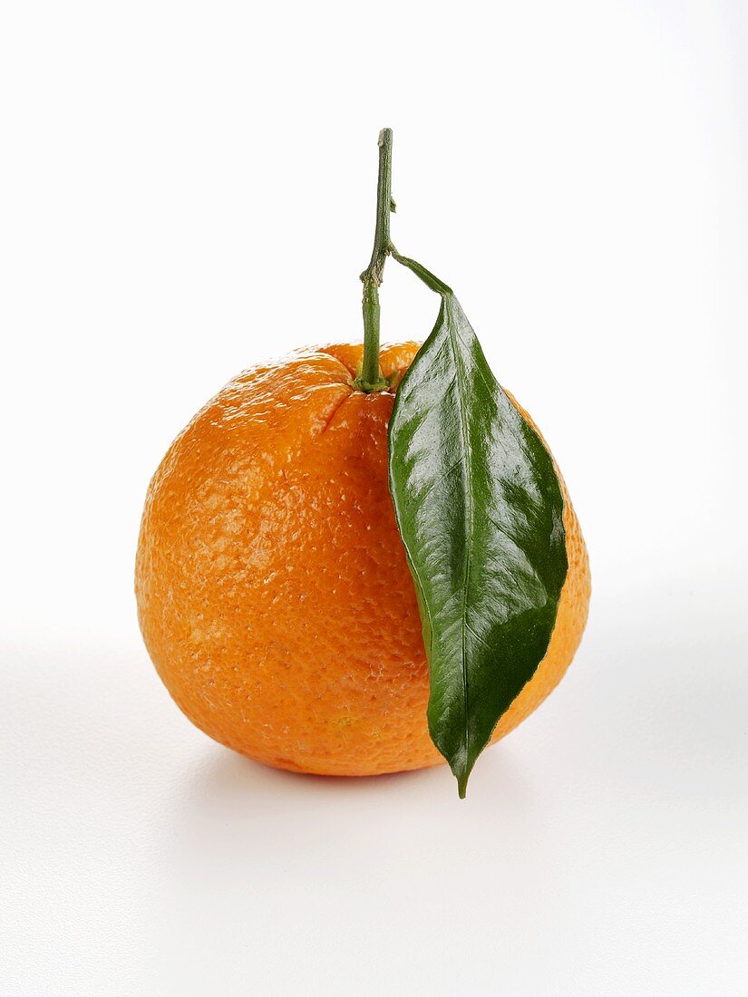 Eine Orange mit Blatt