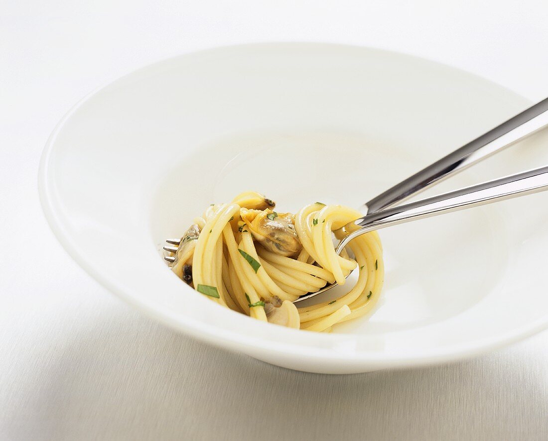 Spaghetti mit Venusmuscheln