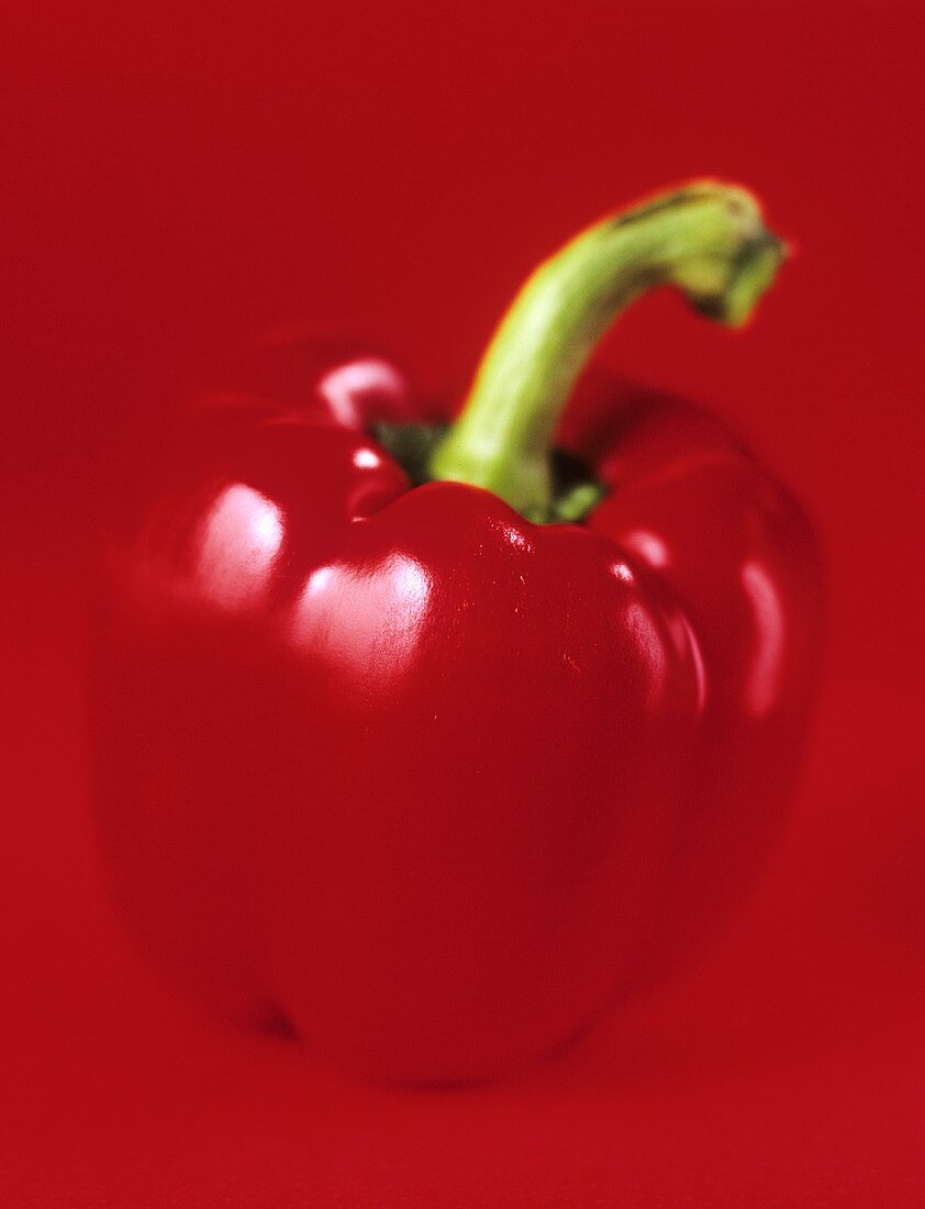 Eine rote Paprikaschote vor rotem Hintergrund