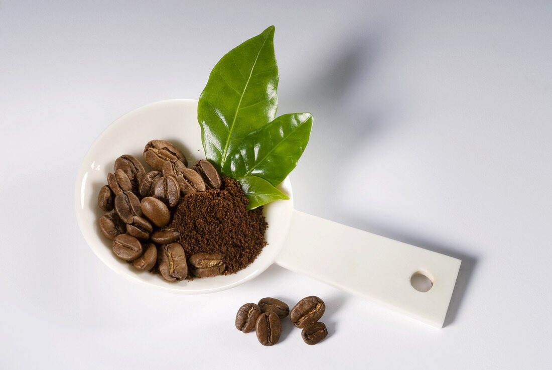 Kaffeebohnen, Kaffeepulver und Blätter im Messlöffel