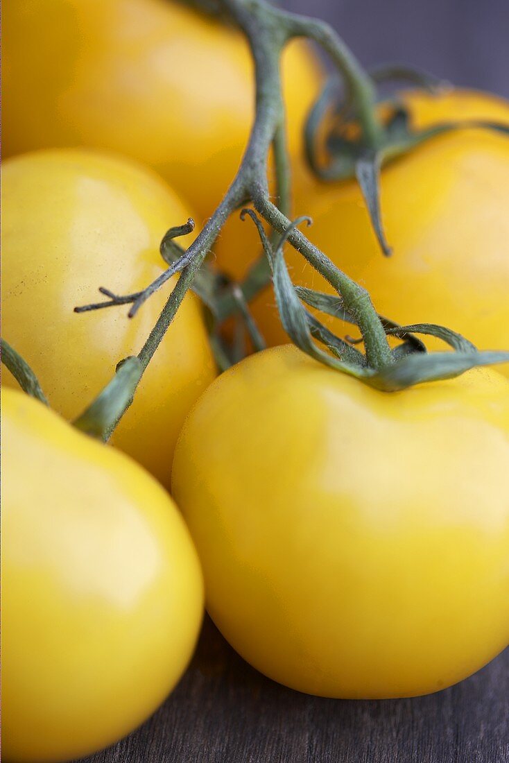 Yellow tomatoes on the vine (close-up)