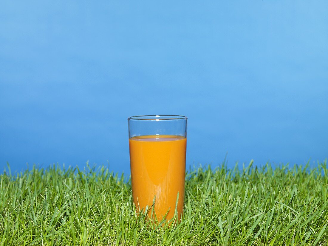Glass of carrot juice on grass