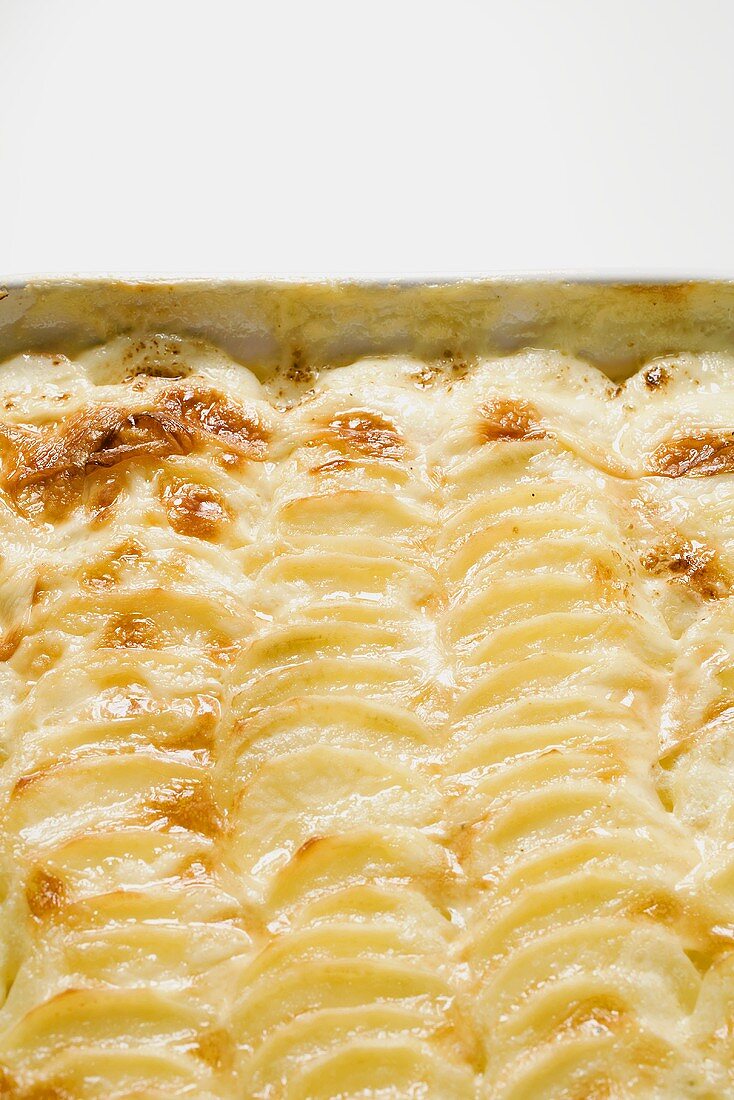 Kartoffelgratin (Ausschnitt)