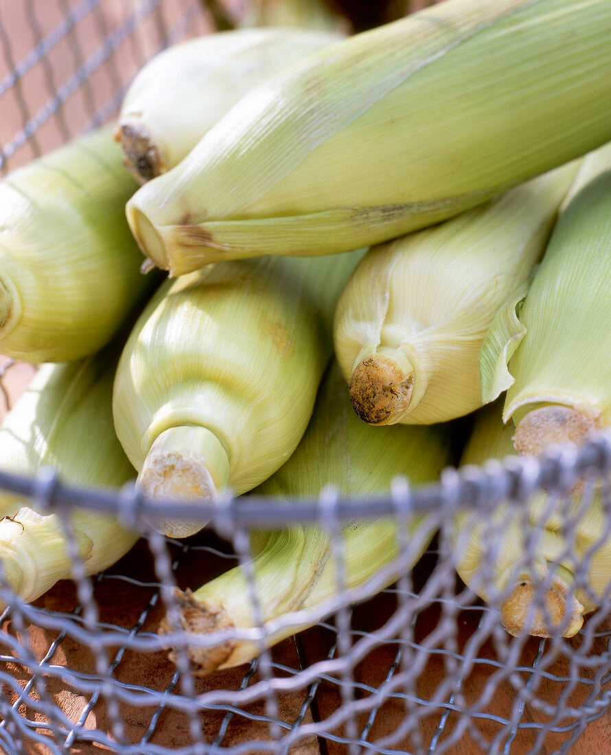 Corn cob with husk in the basket for barbecue