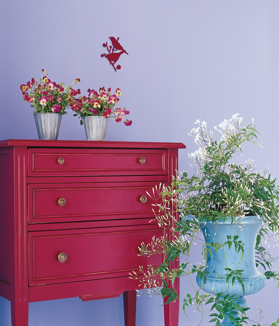Pansies and jasmines in large amphora beside red chest of drawers