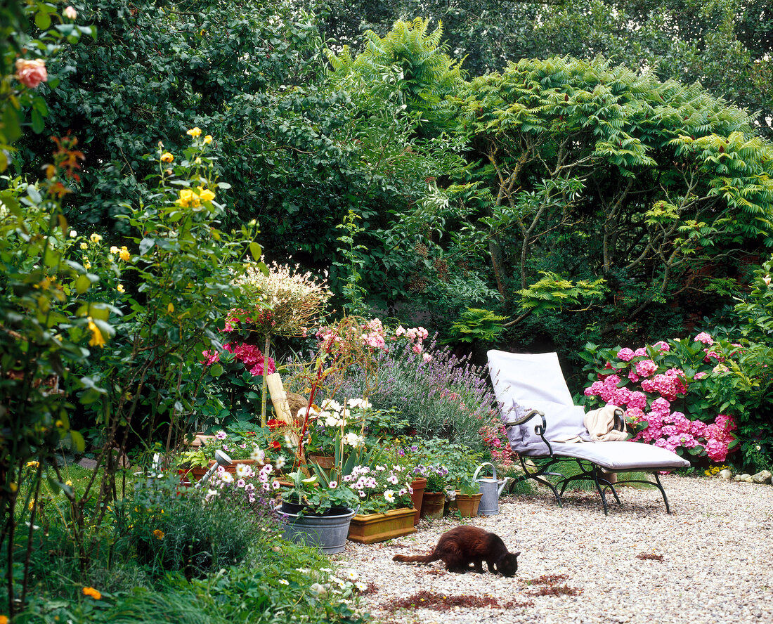 Gartenliege im Garten mit Katze im Sommer